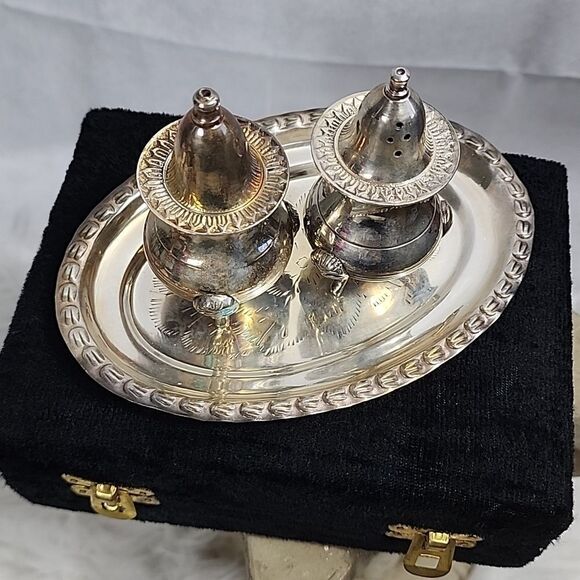Vintage Silverplate Salt & Pepper with Tray and Crushed Velvet Case - Picture 3 of 10